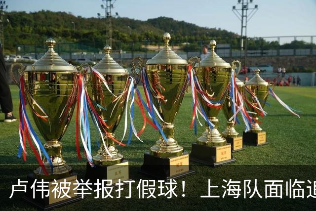 卢伟被举报打假球！上海队面临追罚，张镇麟坑惨球队